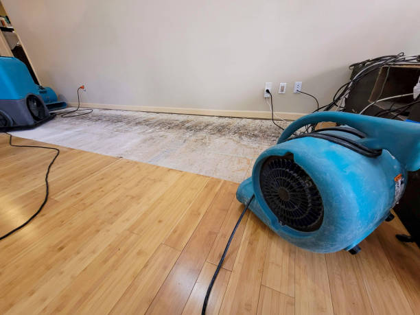 Professional Water Damage Repair technician working in Bayport, MN